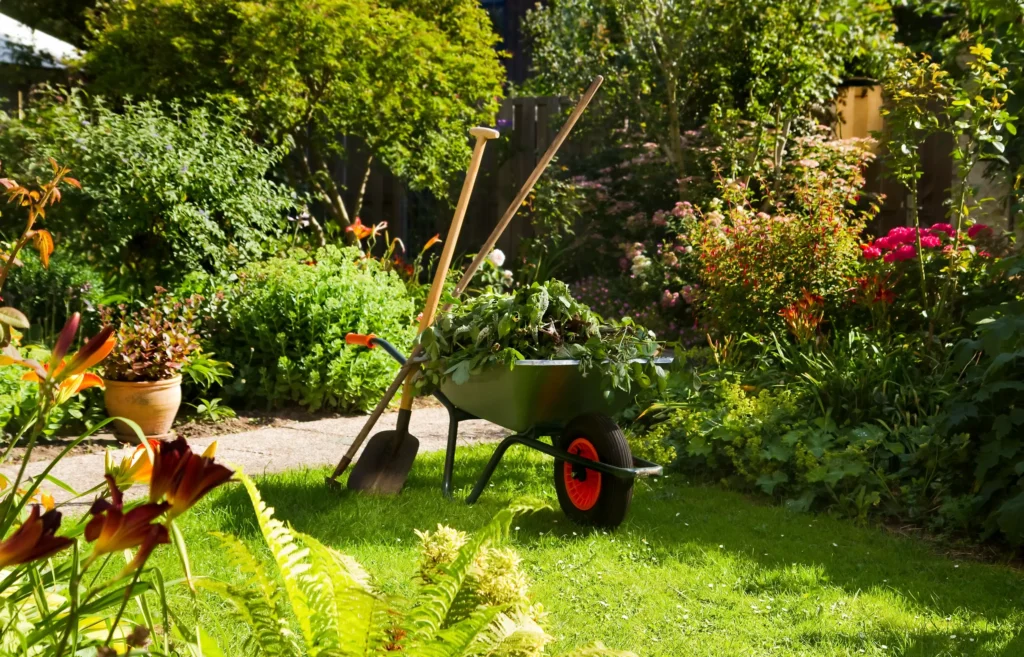 west byfleet 3 - PDL Garden Services