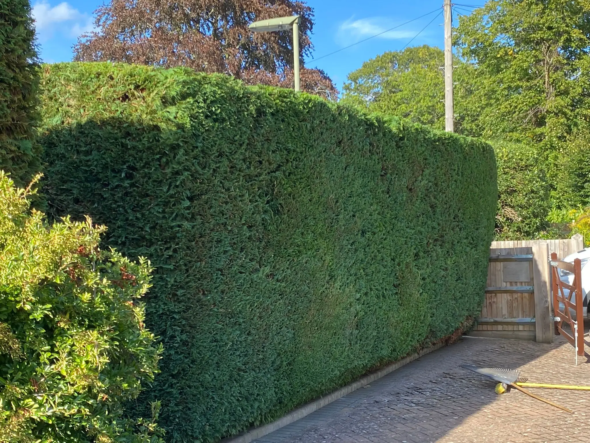 fence repairs 13 - PDL Garden Services