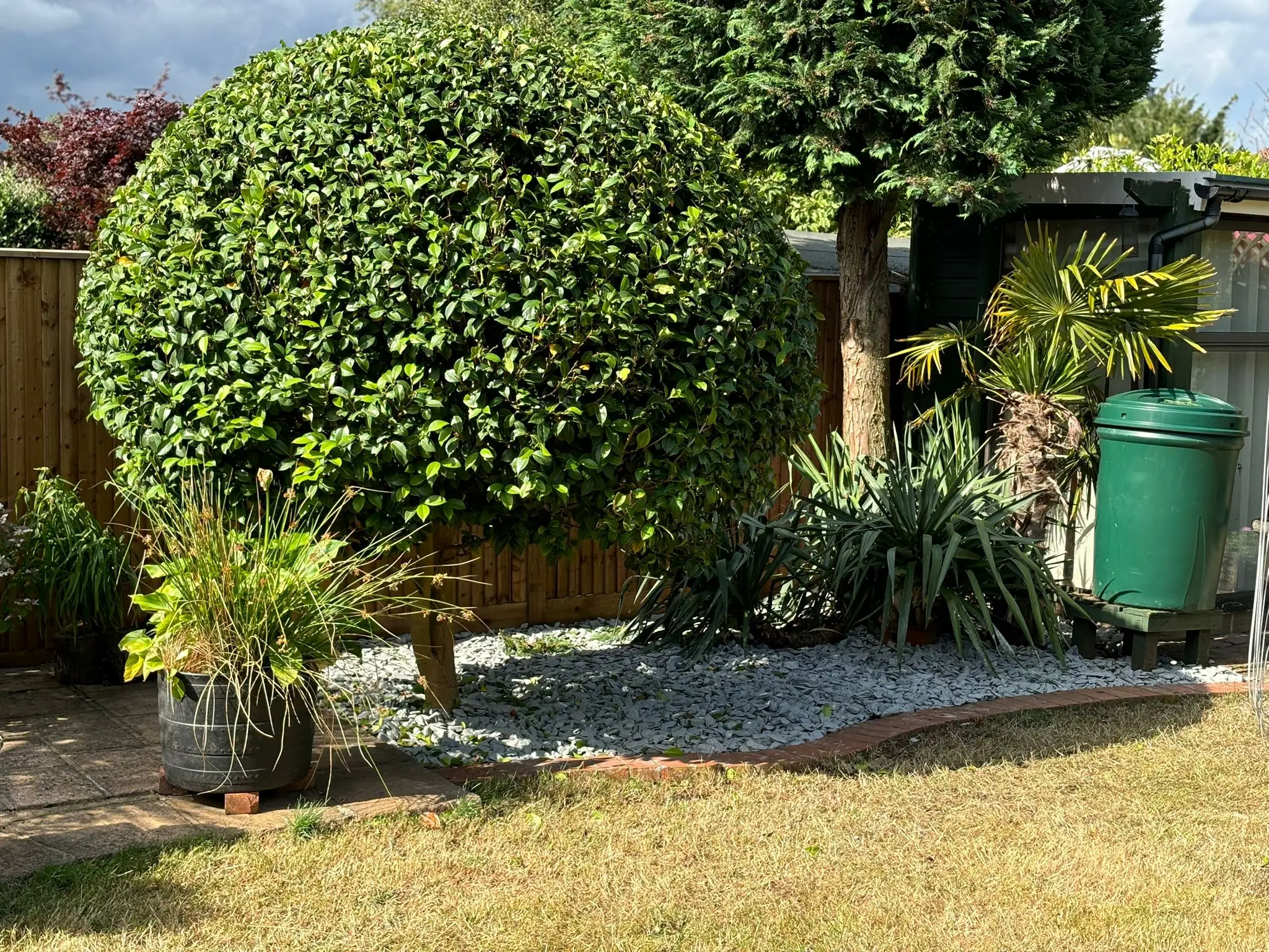 garden maintenance 7 - PDL Garden Services