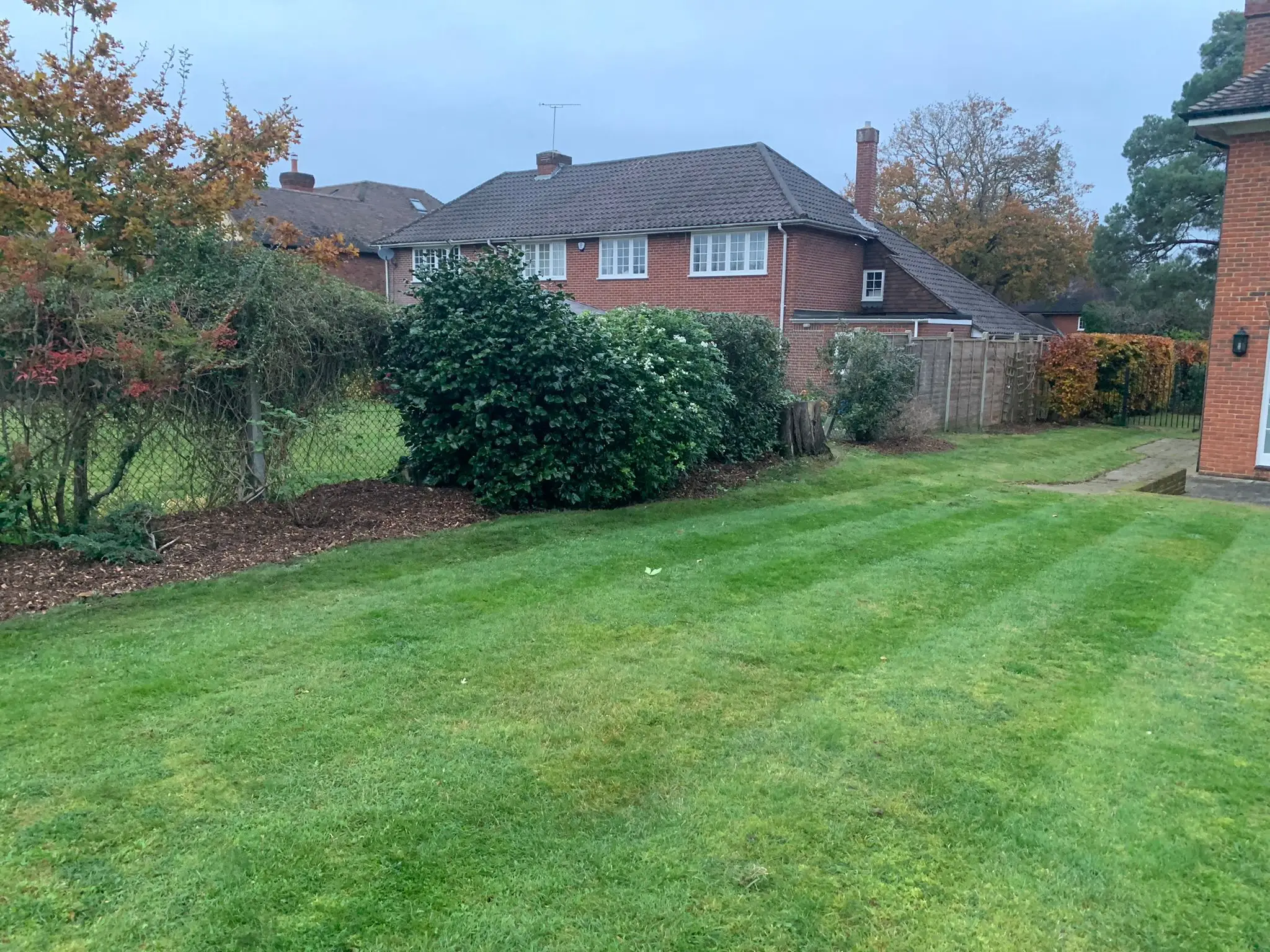 west byfleet 11 - PDL Garden Services