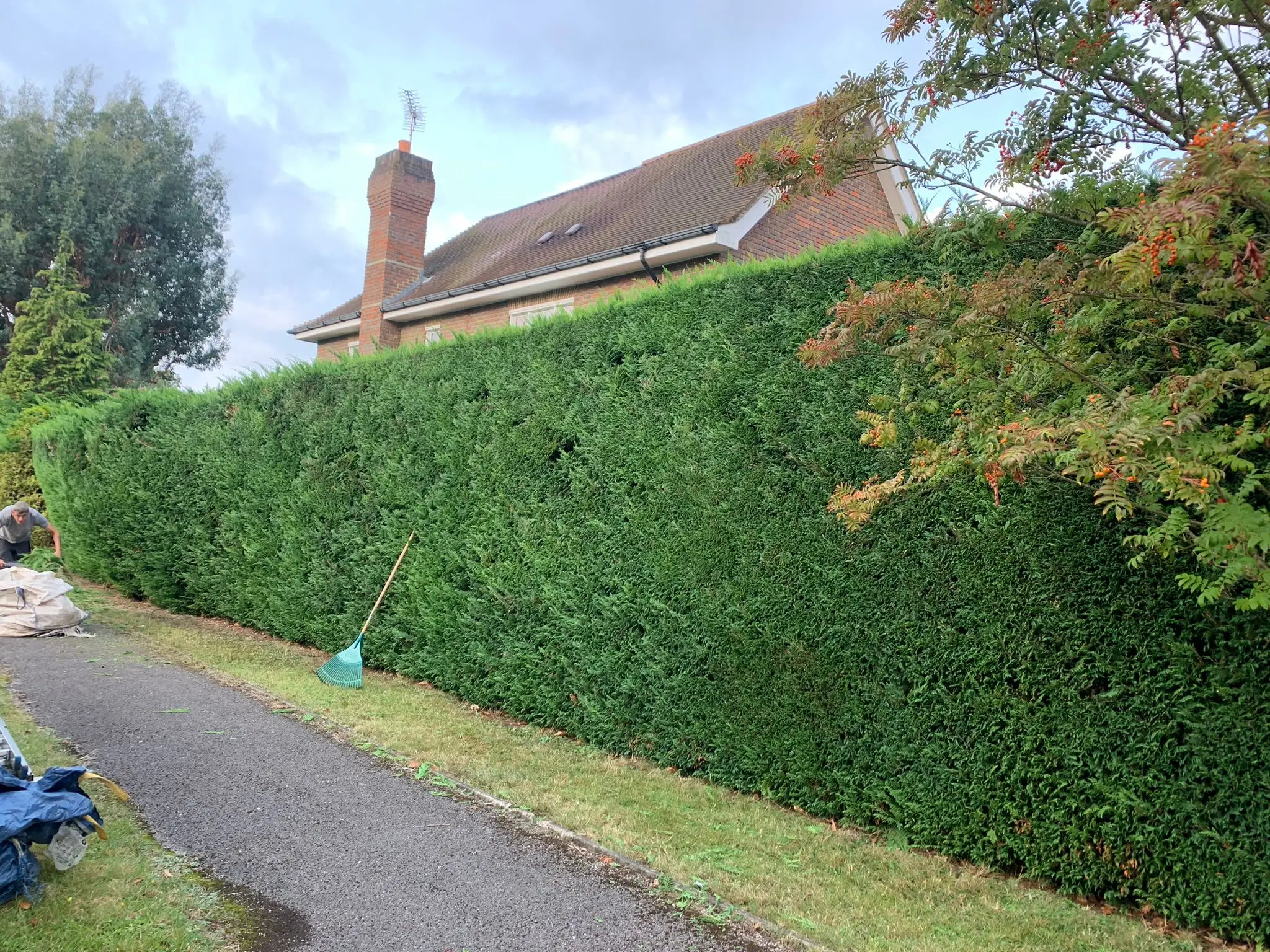 west byfleet 13 - PDL Garden Services