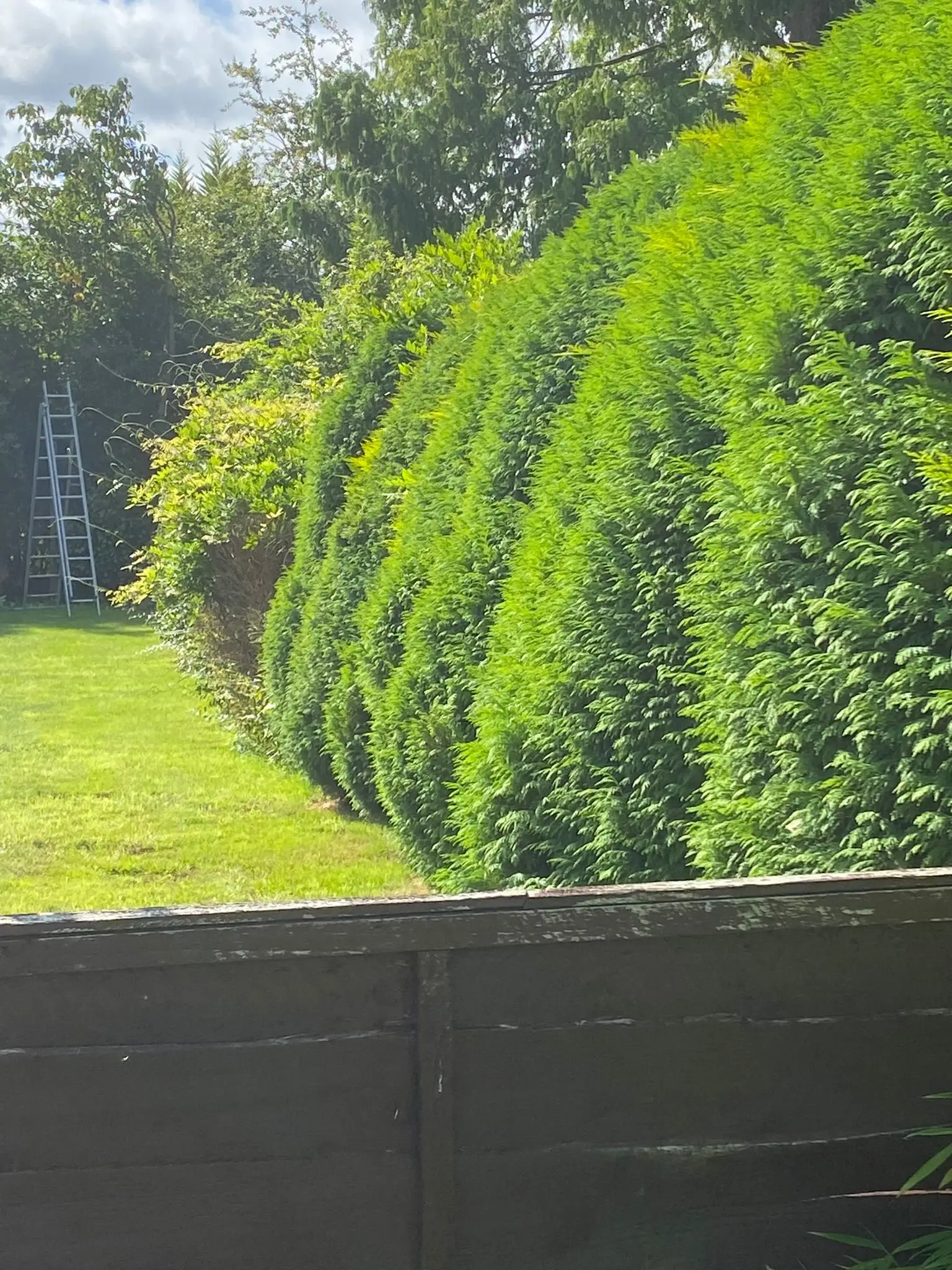 west byfleet 15 - PDL Garden Services